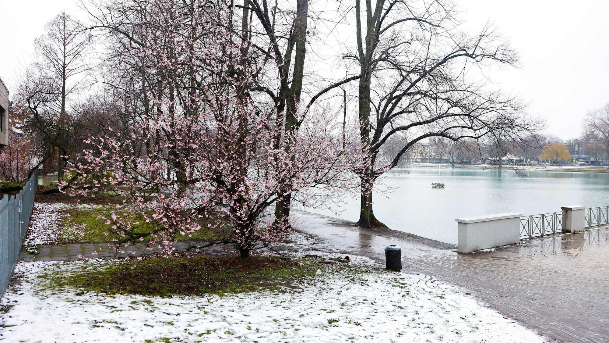 Schneefall in Köln am Aachener Weiher Anfang März