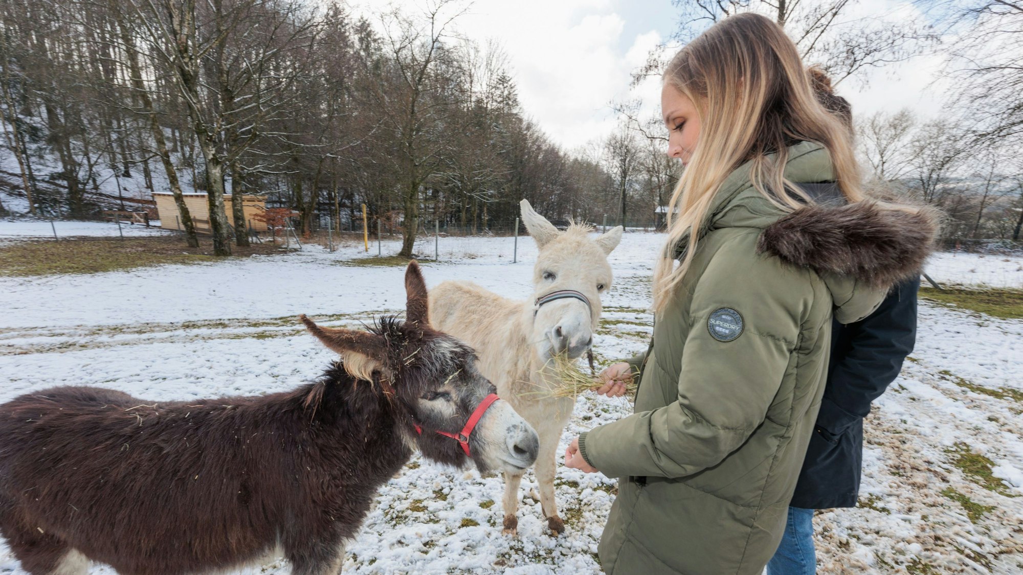 Im Außenbereich des Zentrums für Seelische Gesundheit füttert Ergotherapeutin Paulina Finkelnburg die Therapie-Esel.