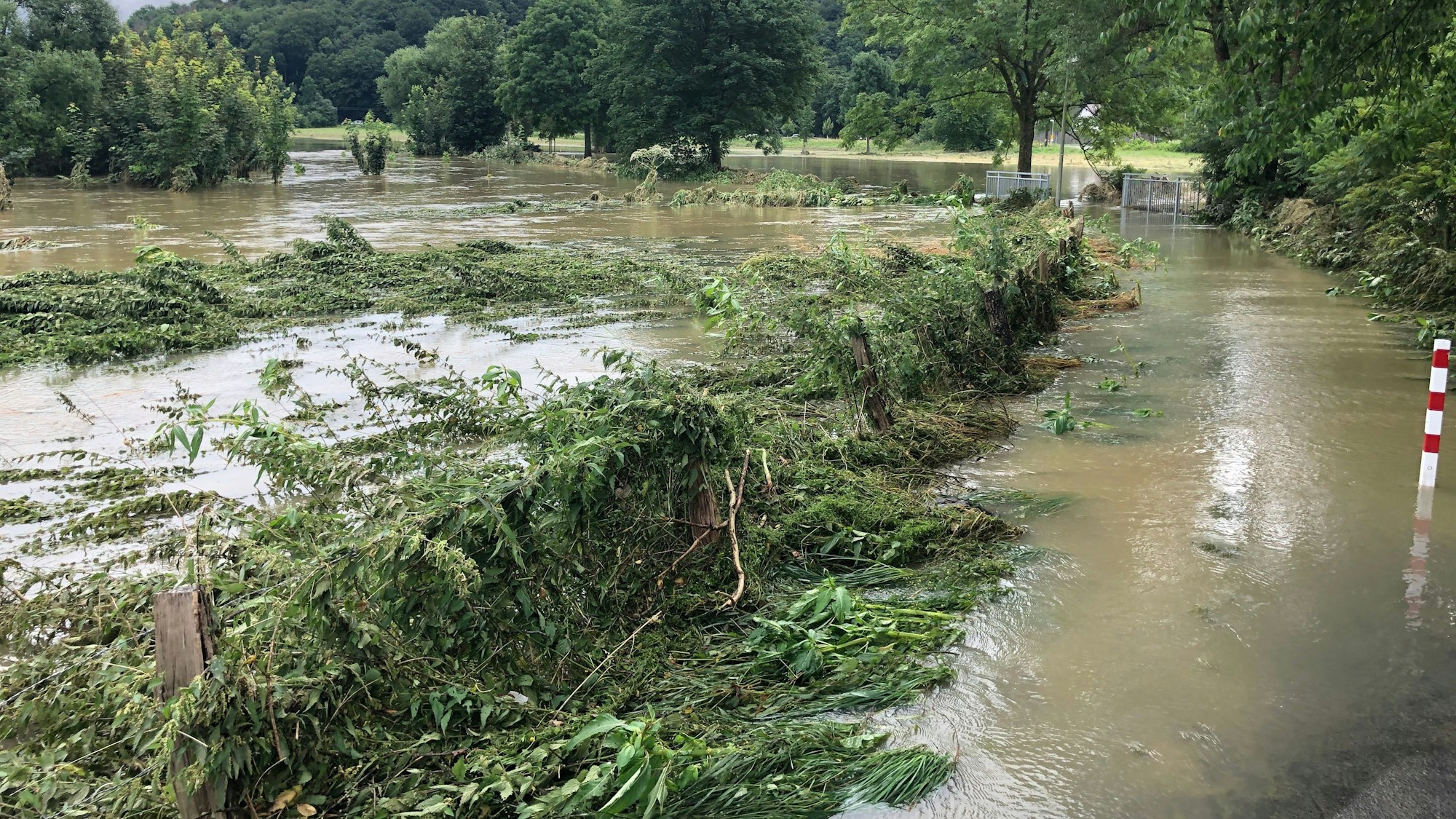 Der Aggerdeich in Lohmar.