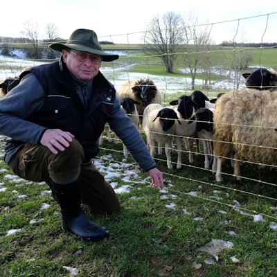 Schafhalter Hermann Vogt aus Schleiden-Morsbach mit seinen Rhönschafen.