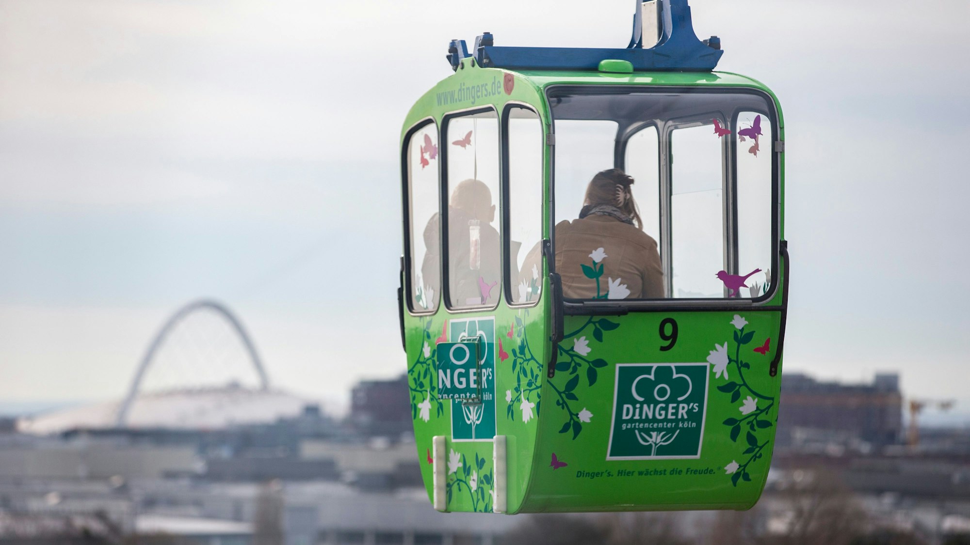 Eine grüne Gondel der Kölner Seilbahn schwebt über den Rhein, im Hintergrund ist die Lanxess-Arena zu sehen.