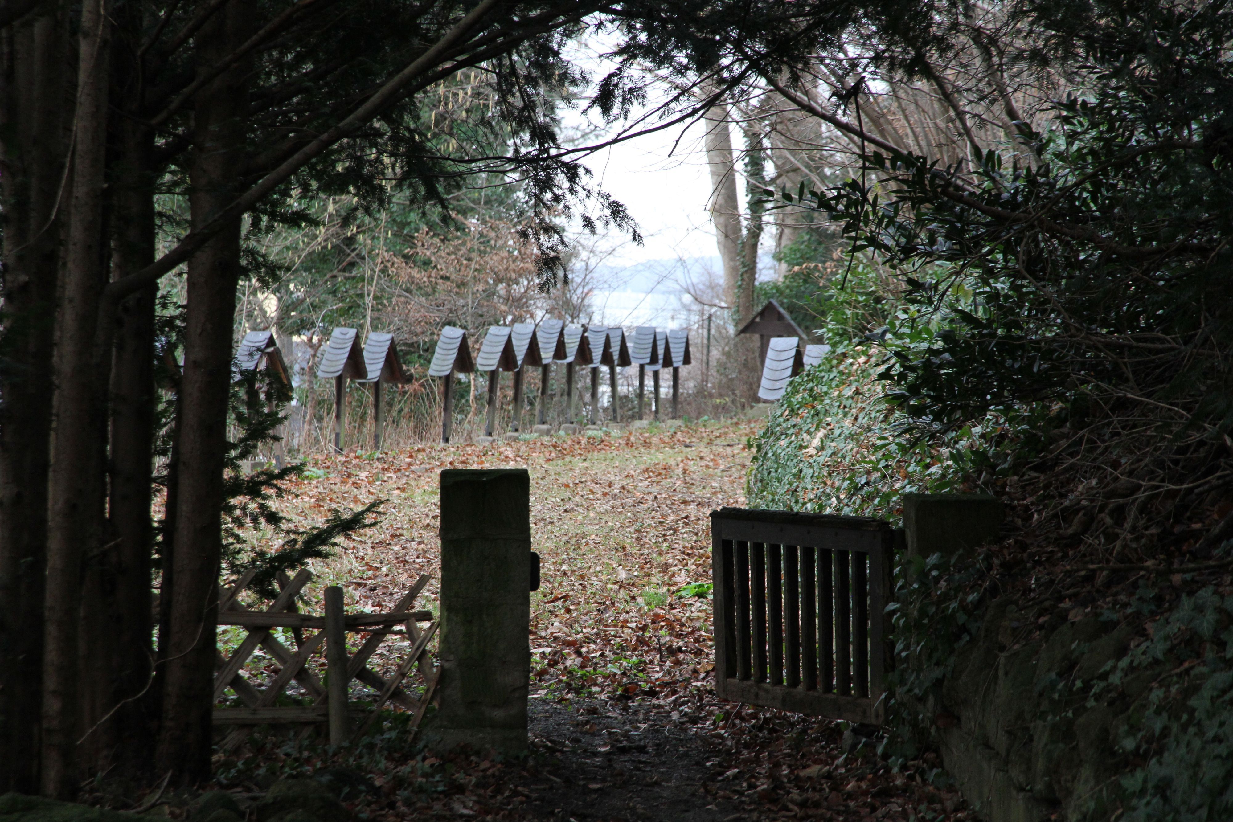 Blick auf den Mönchsfriedhof am Michaelsberg.