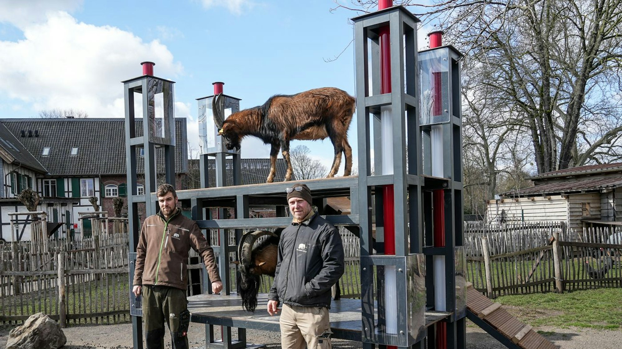 Eigenes Stadion für Geißbock Hennes: Die Idee hatte Tierpfleger Steffen Schröder, für die Umsetzung sorgte Schreiner Carsten Reichart.