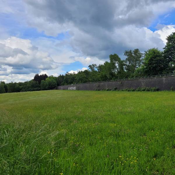 Blick auf eine grüne Wiese und die Friedensmauer im Hintergrund.