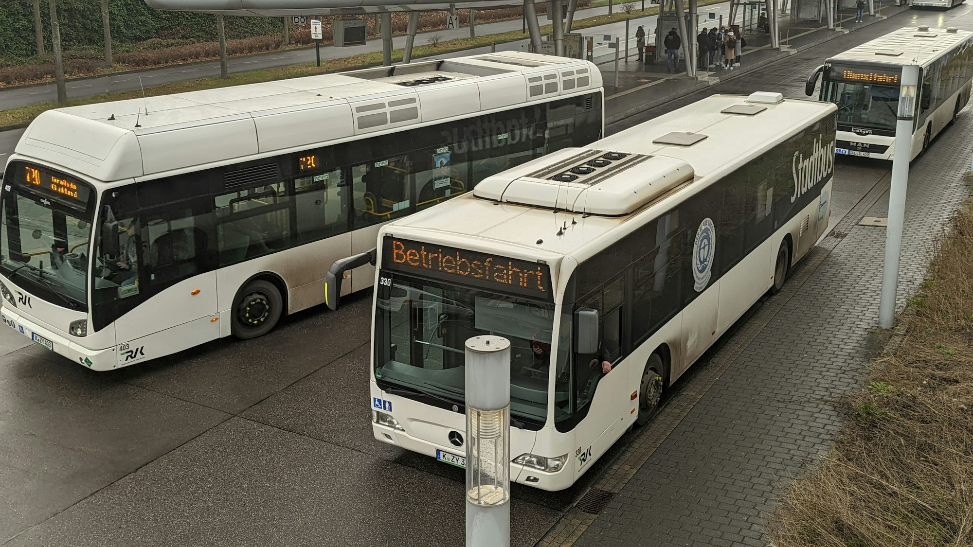 Auf dem Foto sind drei weiße Stadtbusse am Busbahnhof in Hürth-Mitte zu sehen.