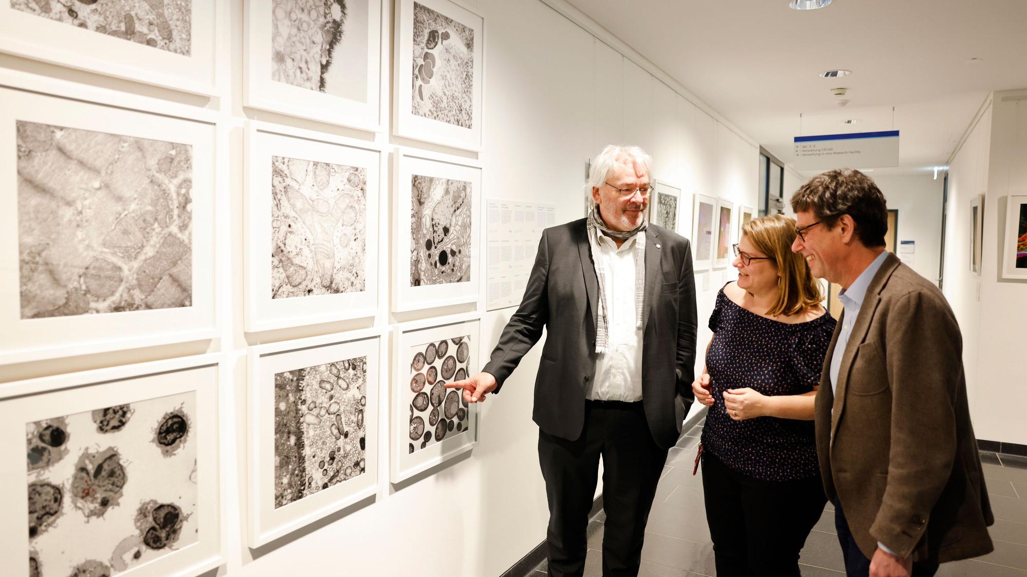 Bilder von Zellen hängen an der Wand, drei Personen stehen davor und gucken sich die Bilder an.