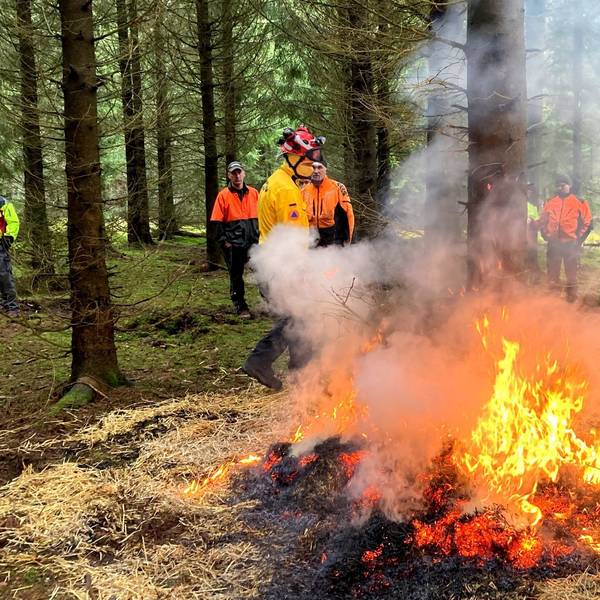 Gerrit Lindlein überwacht einen Übungsbrand bei einer Schulung zur Vegetationsbrandbekämpfung der Nationalparkverwaltung Eifel.