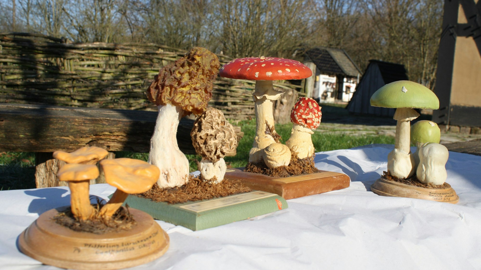 Verschiedene, handgefertigte Pilze.