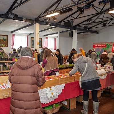 Menschen stehen in einer Halle und gucken sich Saatgut und Pflanzen an.