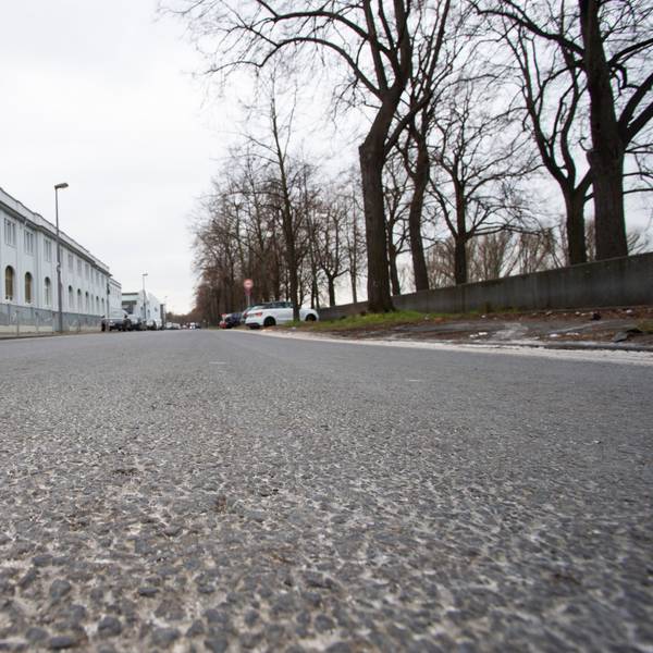 Die Alfred-Schütte-Allee in Köln Poll