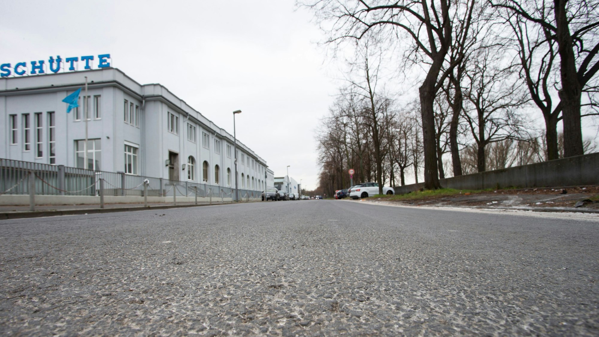 Die Alfred-Schütte-Allee in Köln Poll