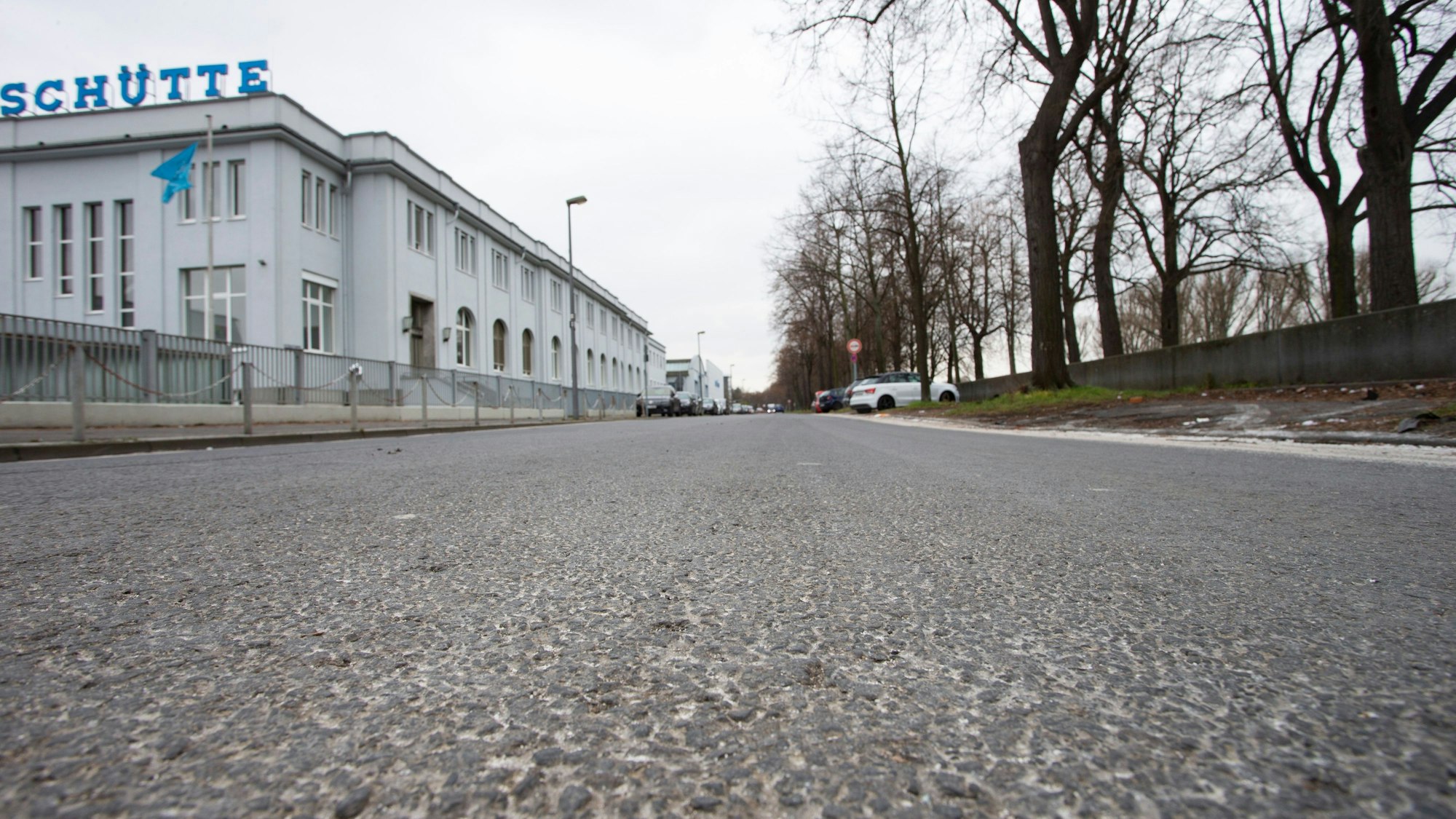 Alfred-Schütte-Allee