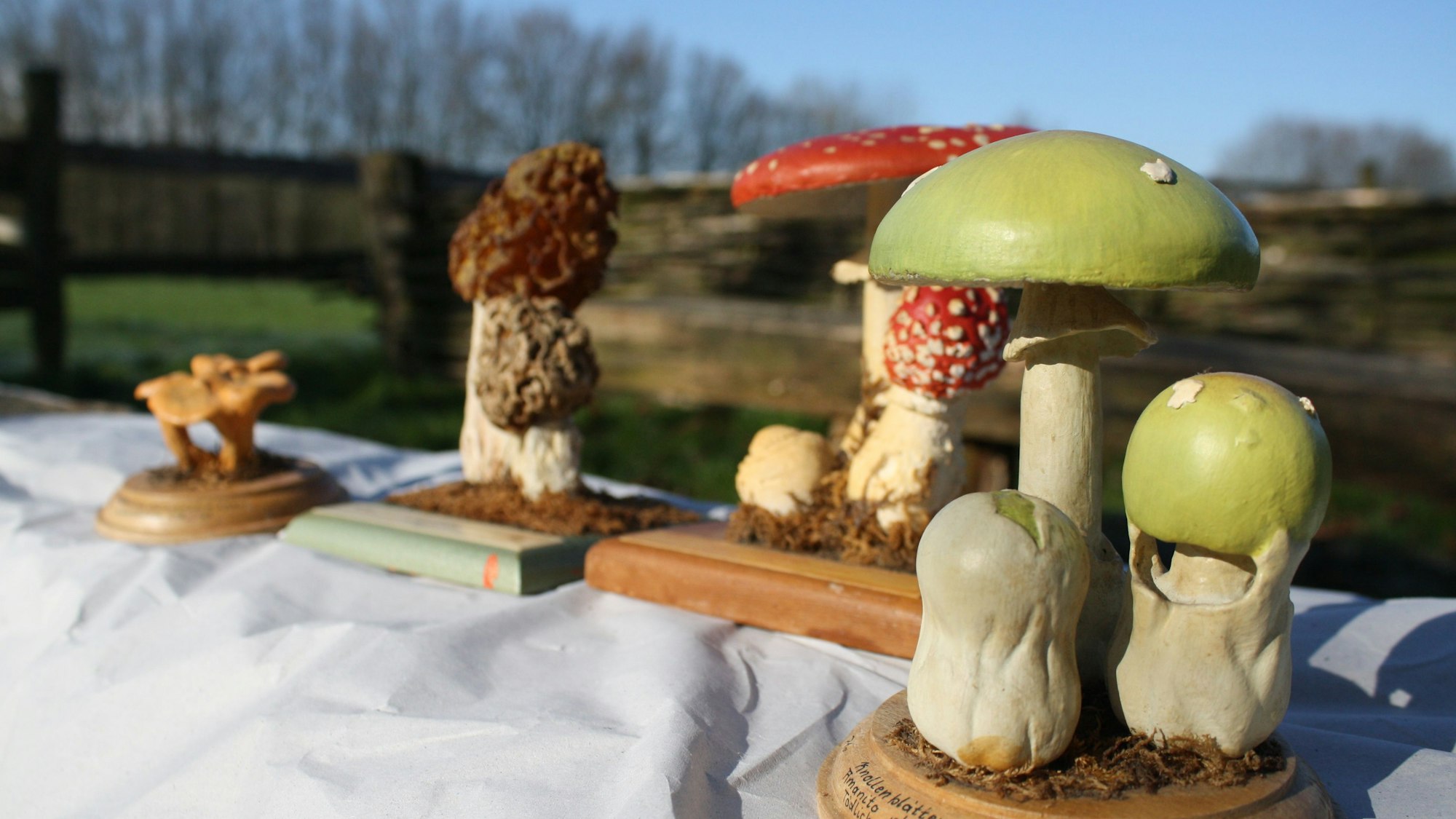 Der Grüne Knollenblätterpilz, handgefertigt.