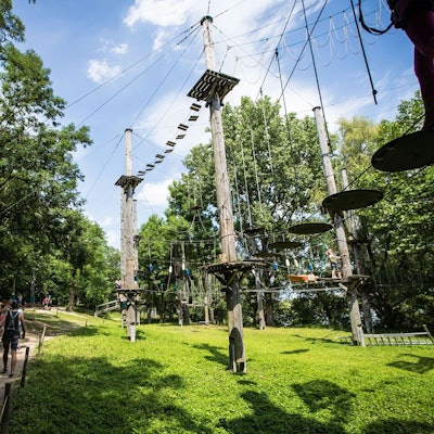 Hochseilgarten mit verschiedenen Kletterelementen