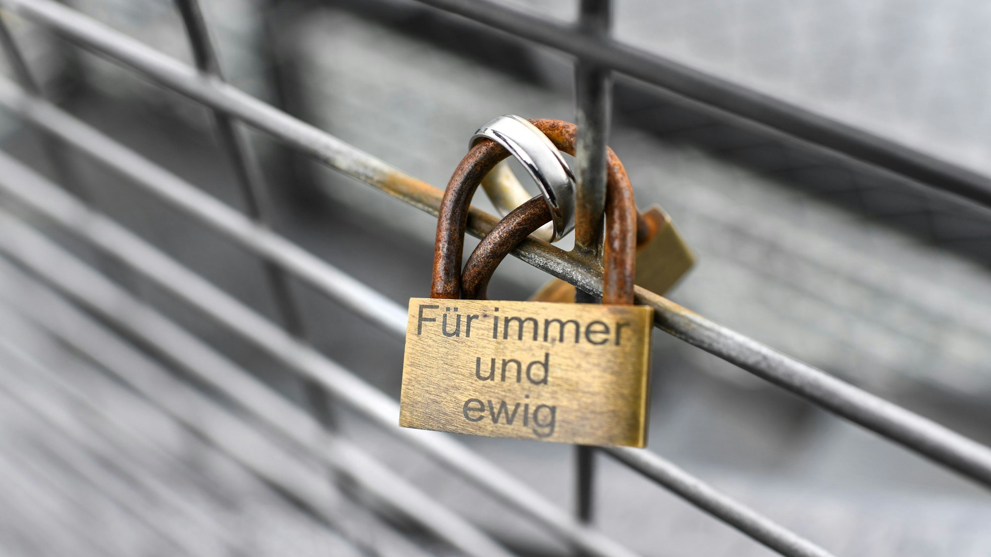 Ein Vorhängeschloss hängt an einem Gitter.