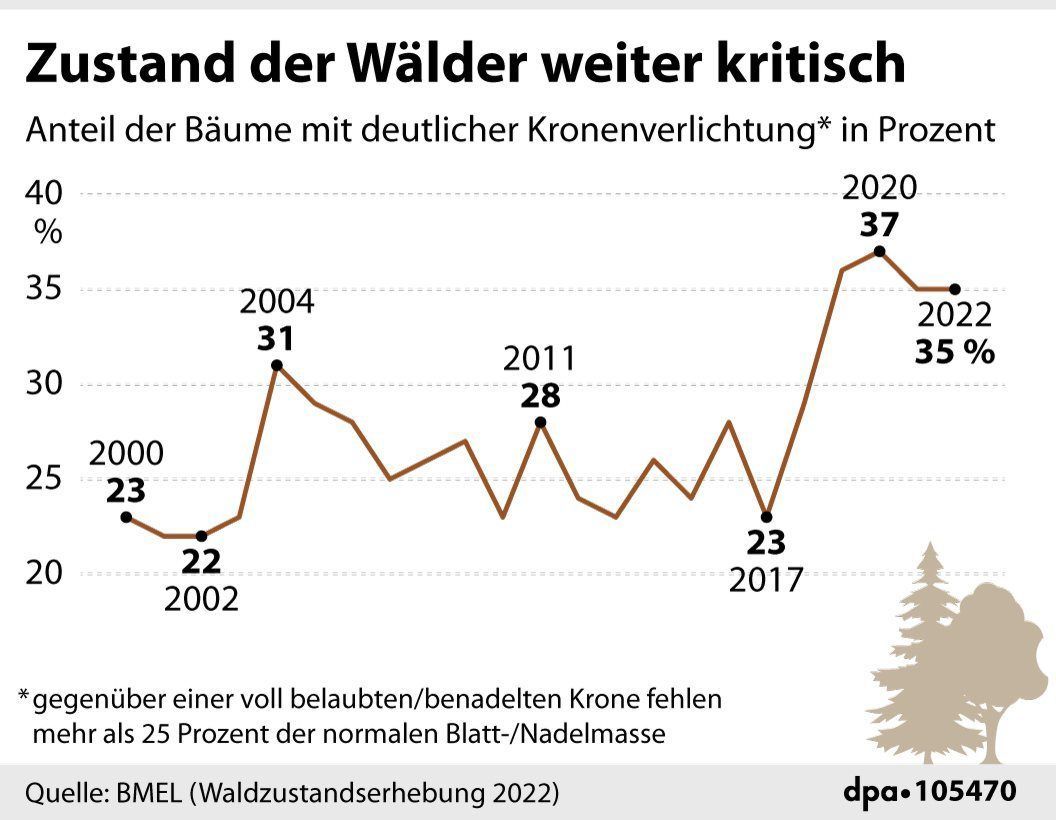 Grafik-Diagramm zeigt, wie kritisch es um den Wald steht.