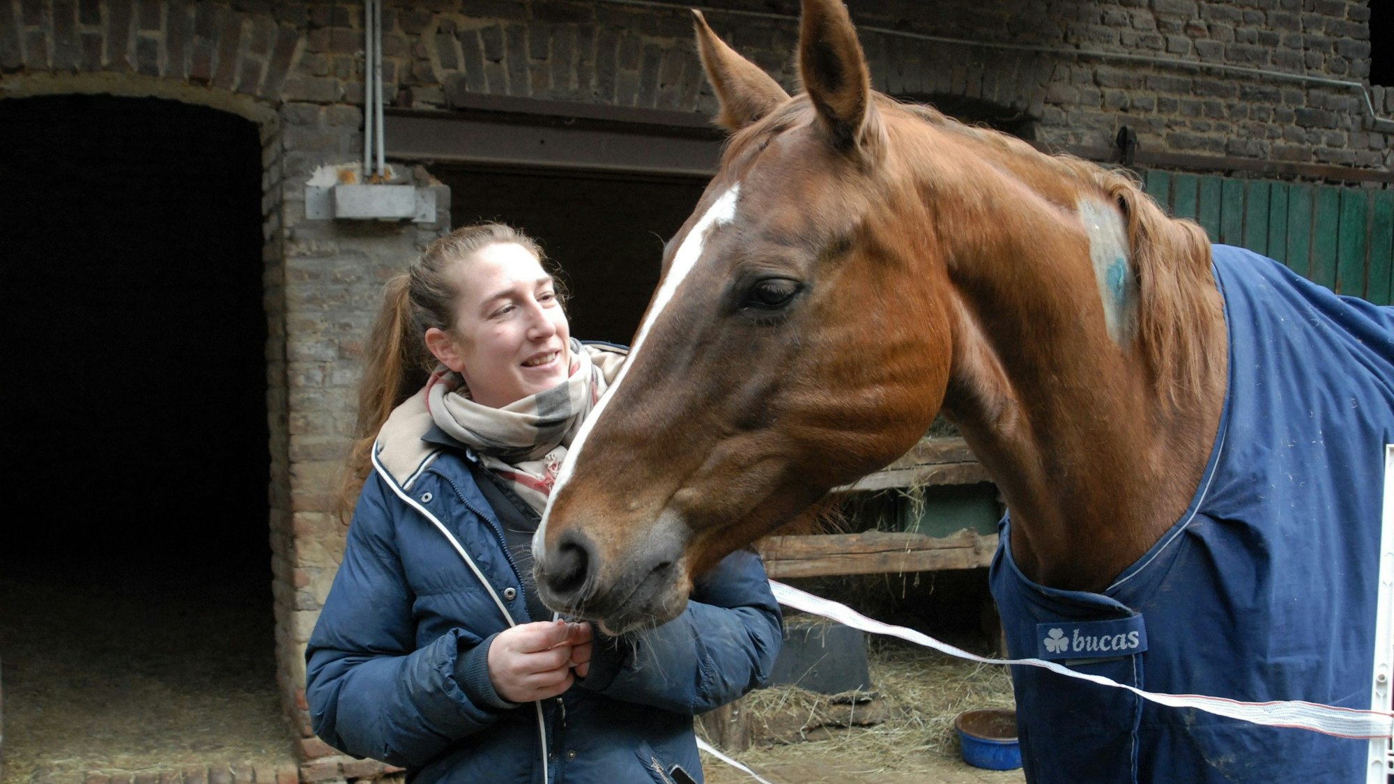 Die angeschossene Stute Betty und ihre Besitzerin Sarah A.
