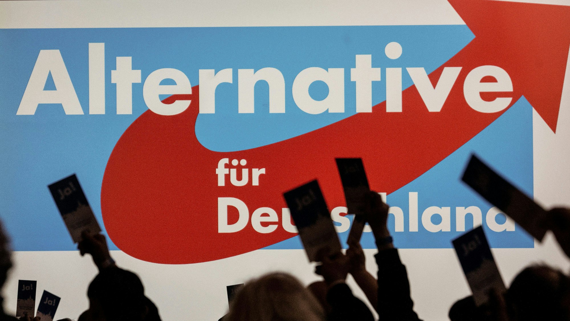 Eine Stimme für die AfD hat Folgen für ein Mitglied der Unionsfraktion in der Bezirksvertretung Lindenthal.