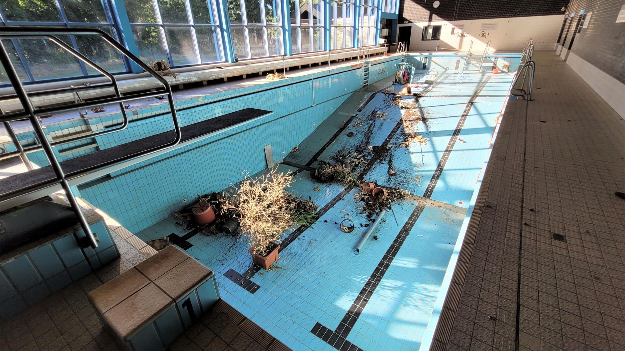 Zu sehen ist das Becken des Kaller Schwimmbads mit Pflanzen, die Unbekannte dort hineingeworfen haben.