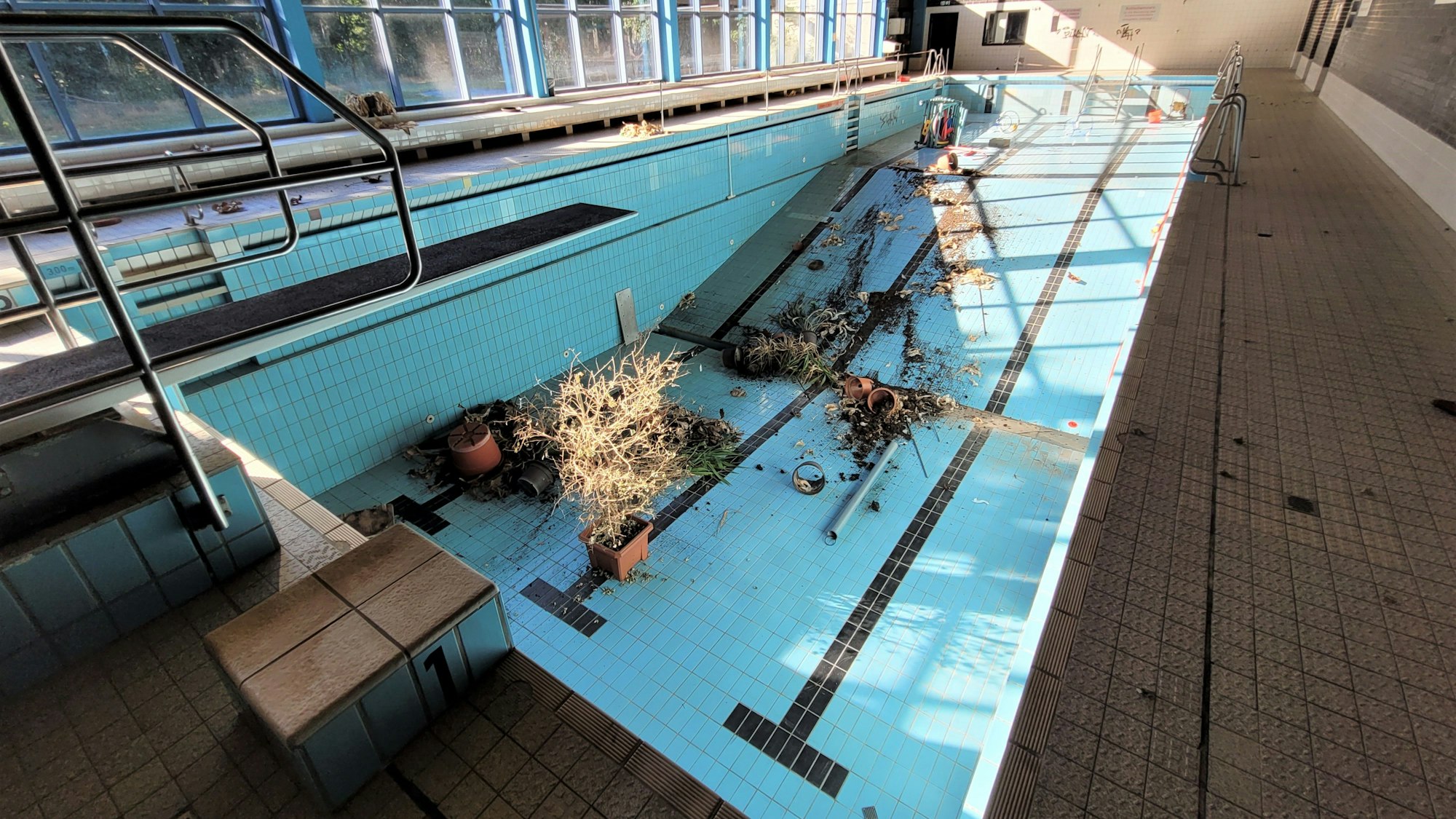 Blick in das Becken, in dem Pflanzen, Blumenkübel und Erde liegen.