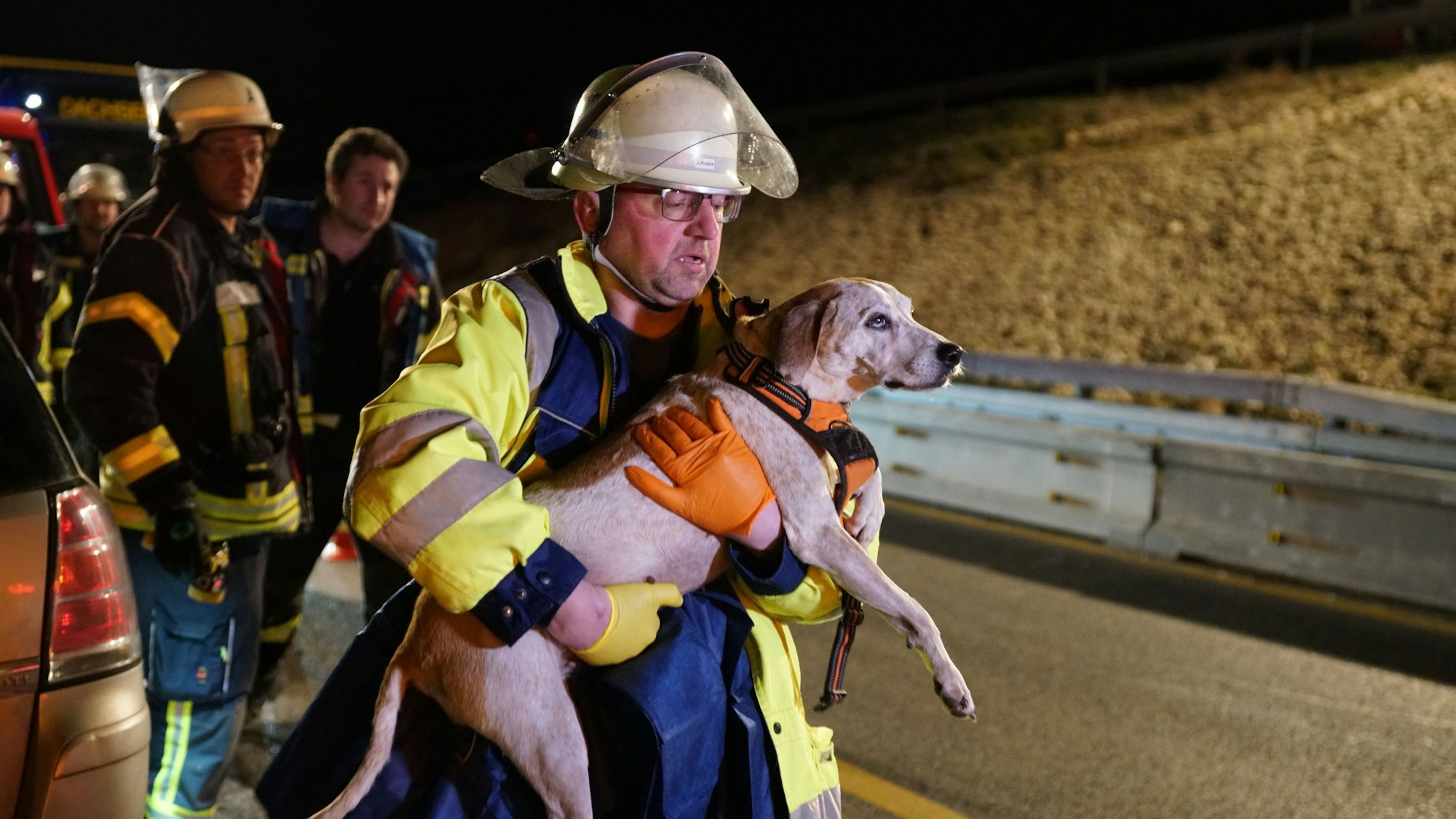 Ein Retter trägt einen Hund nach einem Unfall auf der A8. Ein betrunkener Falschfahrer hat sich bei einem Unfall auf der A8 nahe Mühlhausen im Täle (Landkreis Göppingen) schwer verletzt. Auch vier Hunde, die in seinem Auto saßen, wurden am Mittwochabend schwer verletzt, wie die Polizei in der Nacht zum Donnerstag mitteilte. Ein Hund starb am Unfallort.
