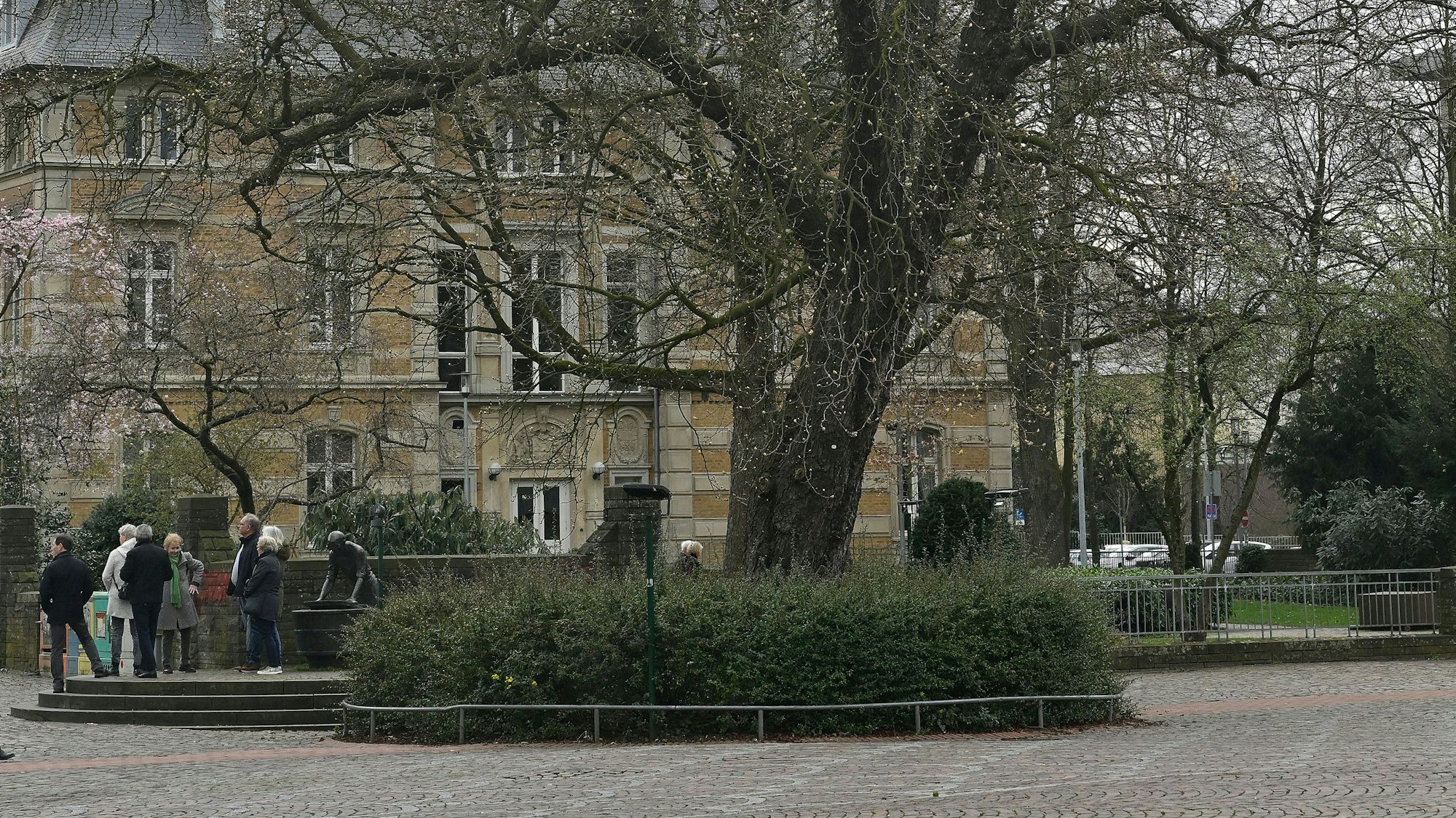 Im Beet vor dieser Kastanie wird die Erinnerungstafel für Patricia Wright errichtet.