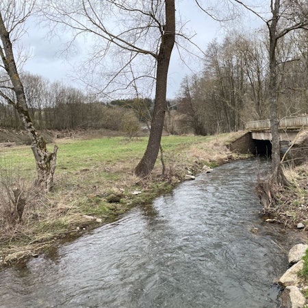 Der Fluss Urft mit der beschädigten Fußgängerbrücke im Hintergrund.