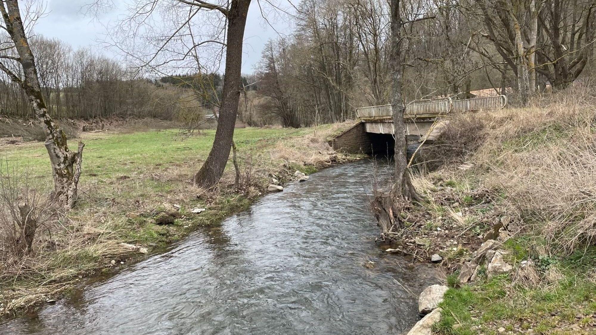 Der Fluss Urft mit der beschädigten Fußgängerbrücke im Hintergrund.