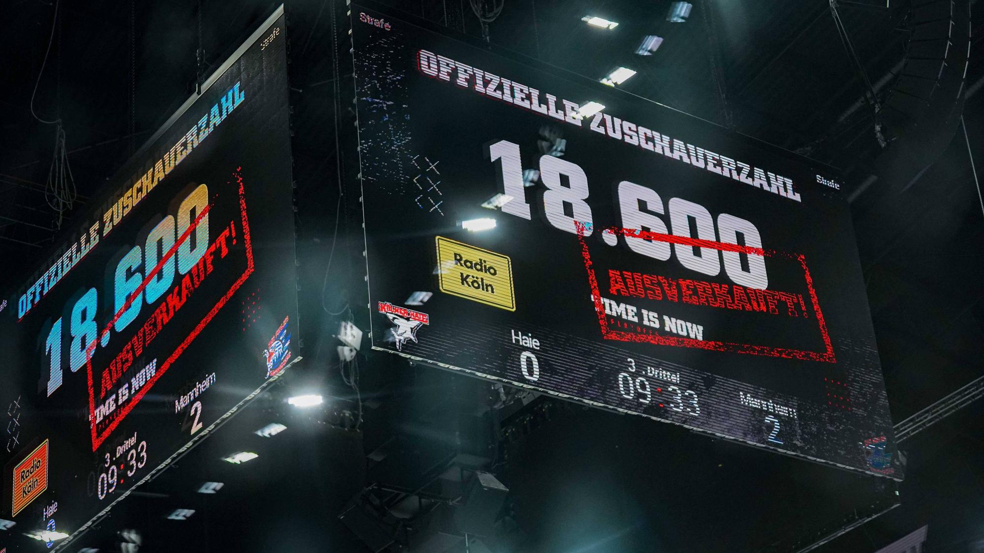 Ein ausverkauftes Haus und dann 10.500 verkaufte Tickets mehr als in der Krefelder Yayla Arena könnte es für die Haie am Sonntag in Viertelfinalspiel sechs geben.