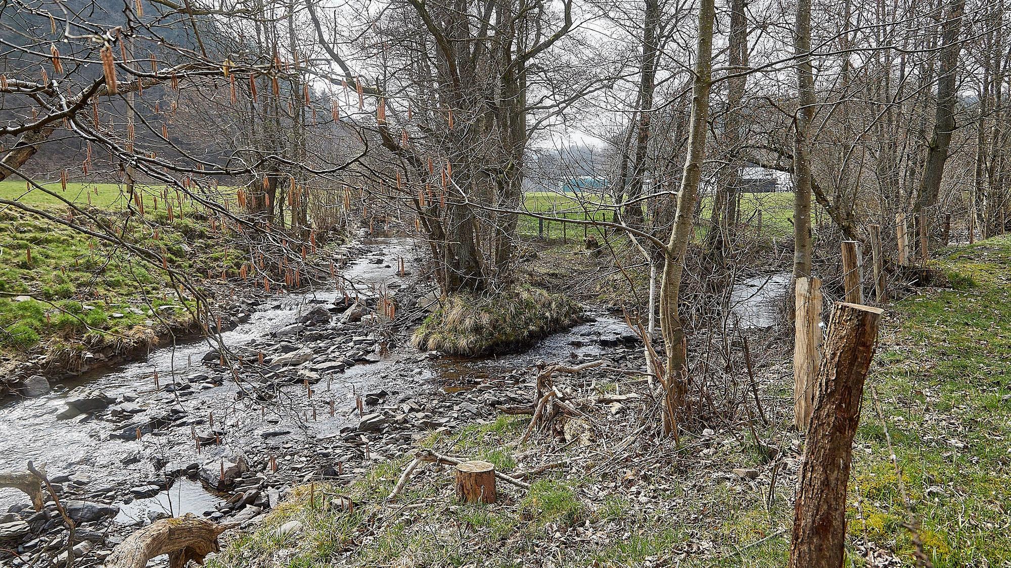 Der Zusammenfluss von Preth- und Platißbach in der Gemeinde Hellenthal.