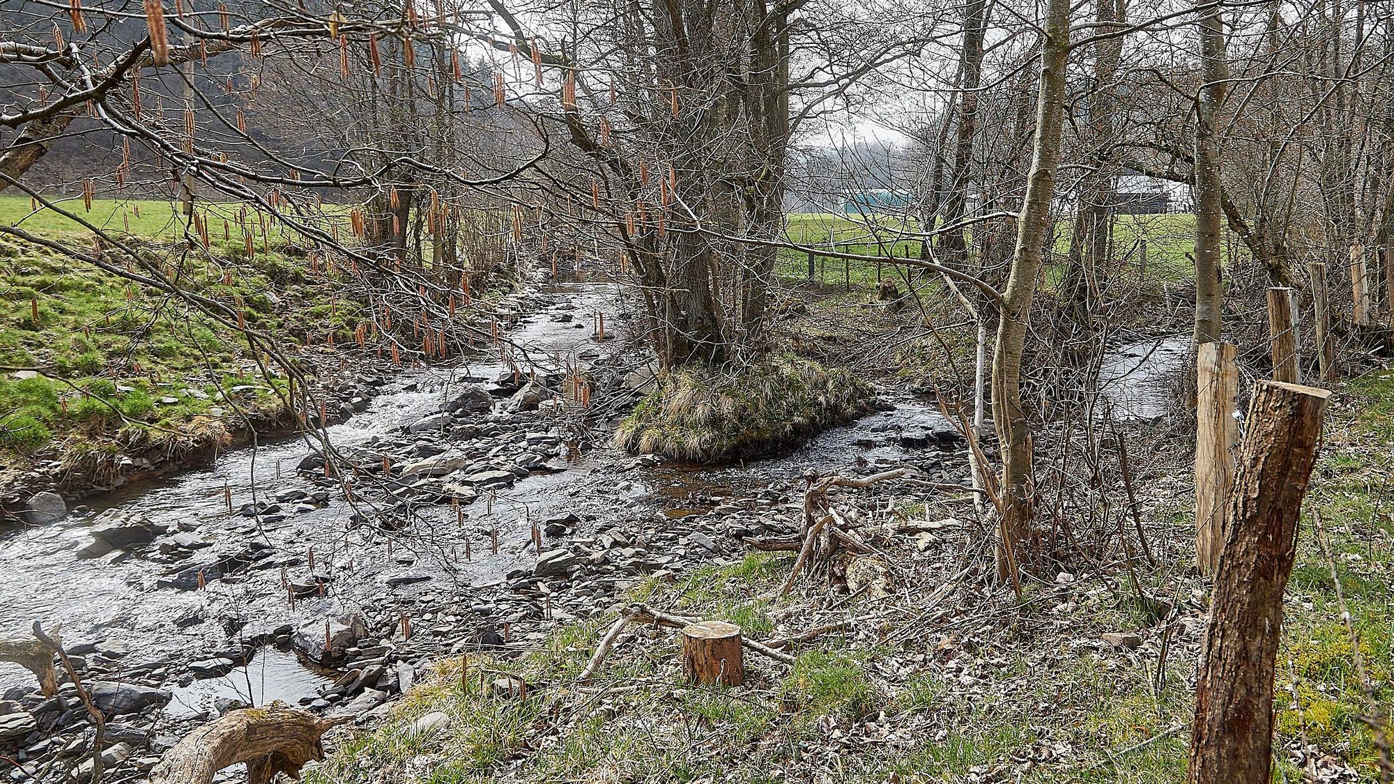 Bei Hellenthal fließen der Preth- und Platißbach zusammen.