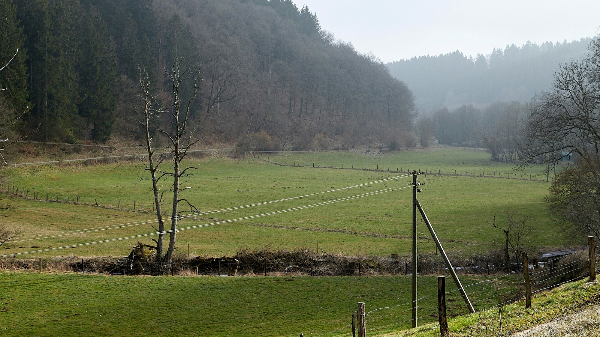 Das Prethtal bei Hellenthal könnte zur Talsperre werden.