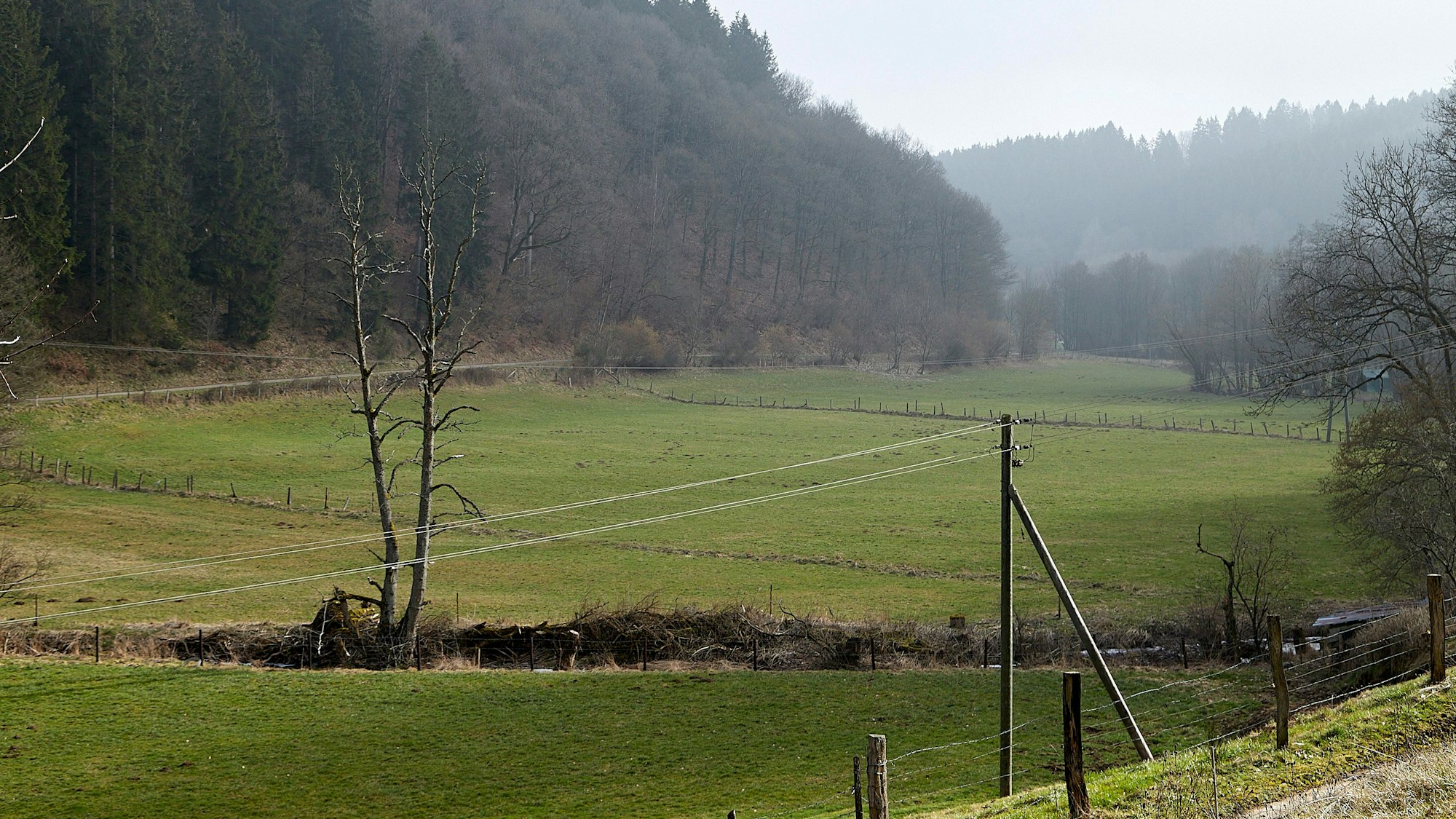 Das Prethtal bei Hellenthal könnte zur Talsperre werden.