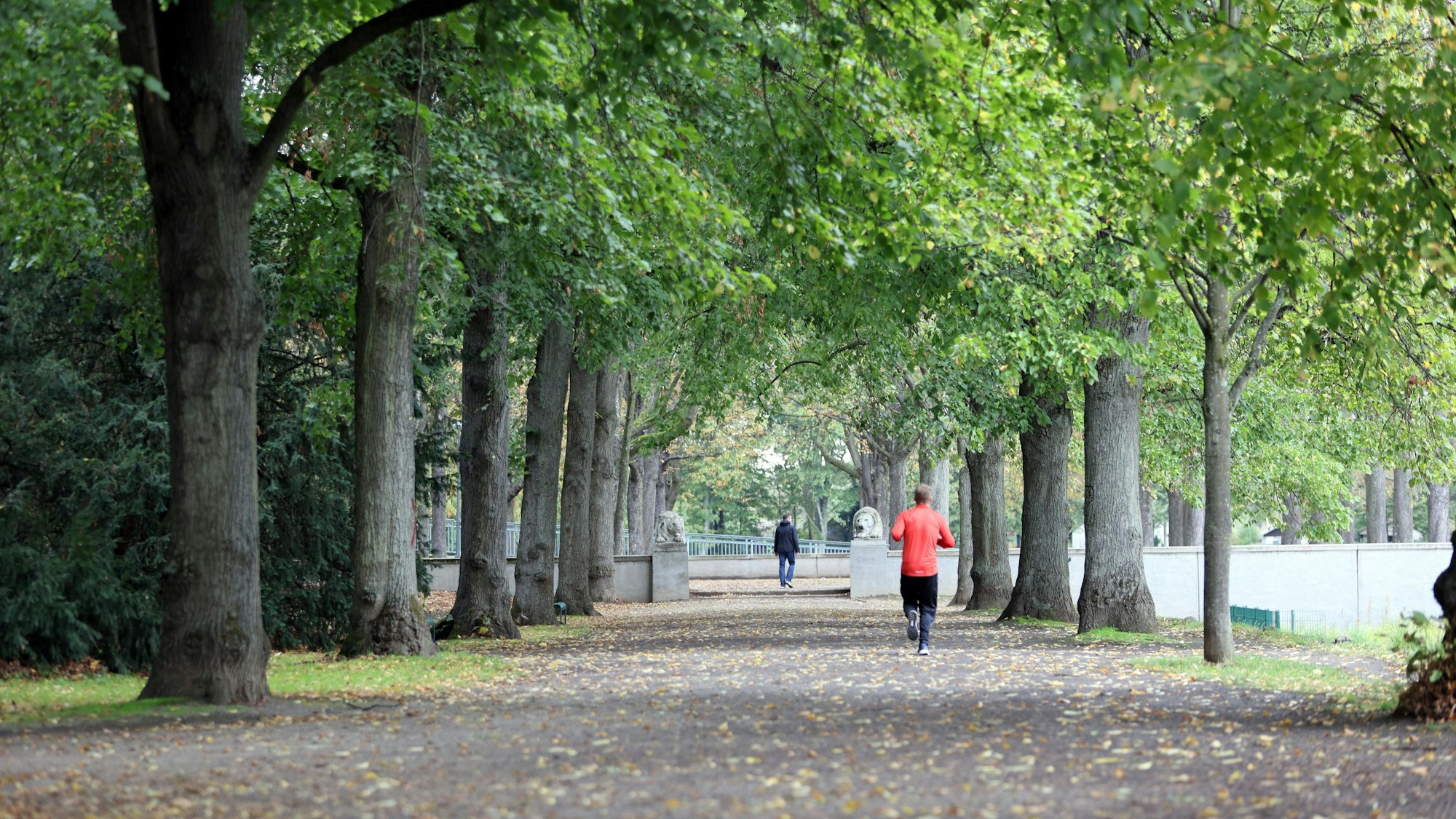 Köln ist deutlich grüner als andere deutsche Großstädte.