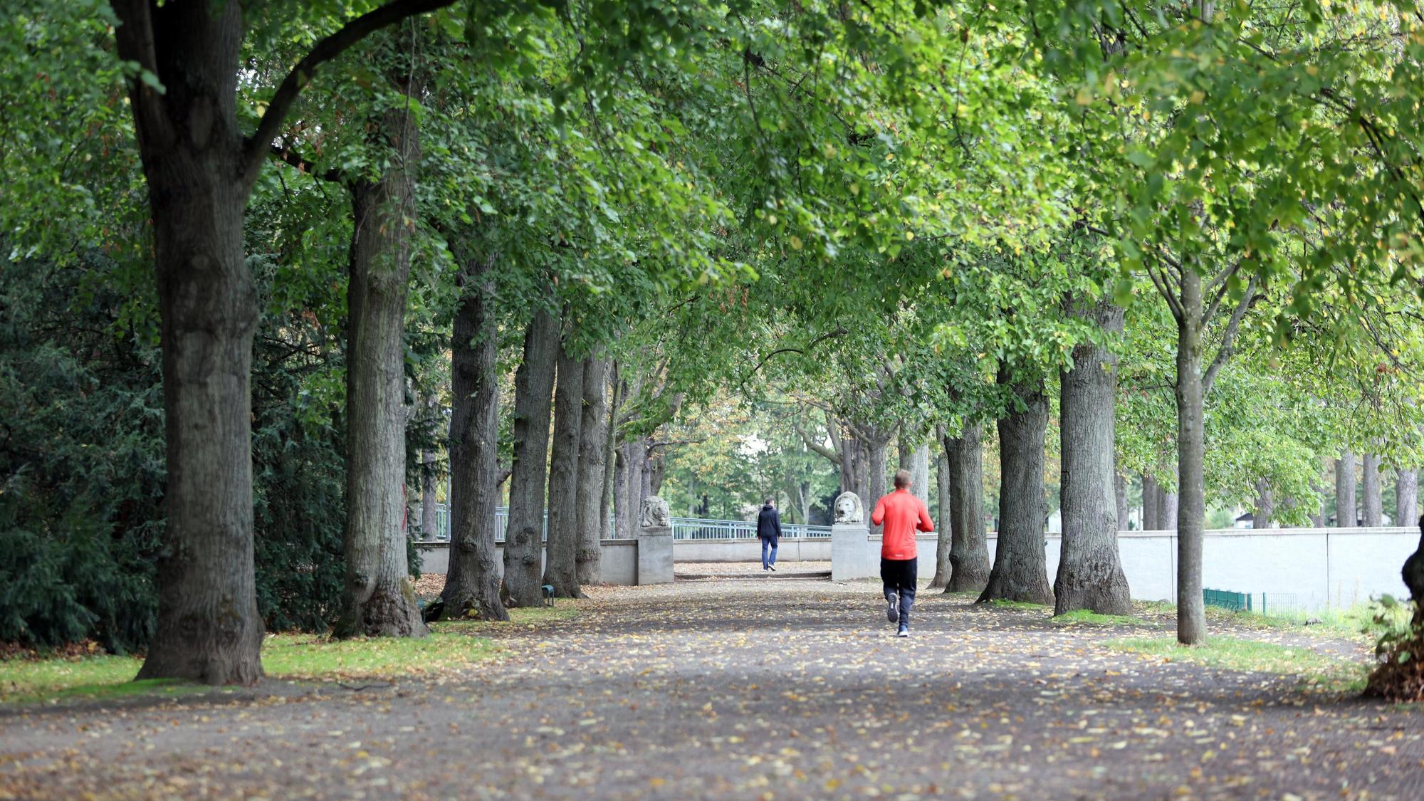 Der Blücherpark