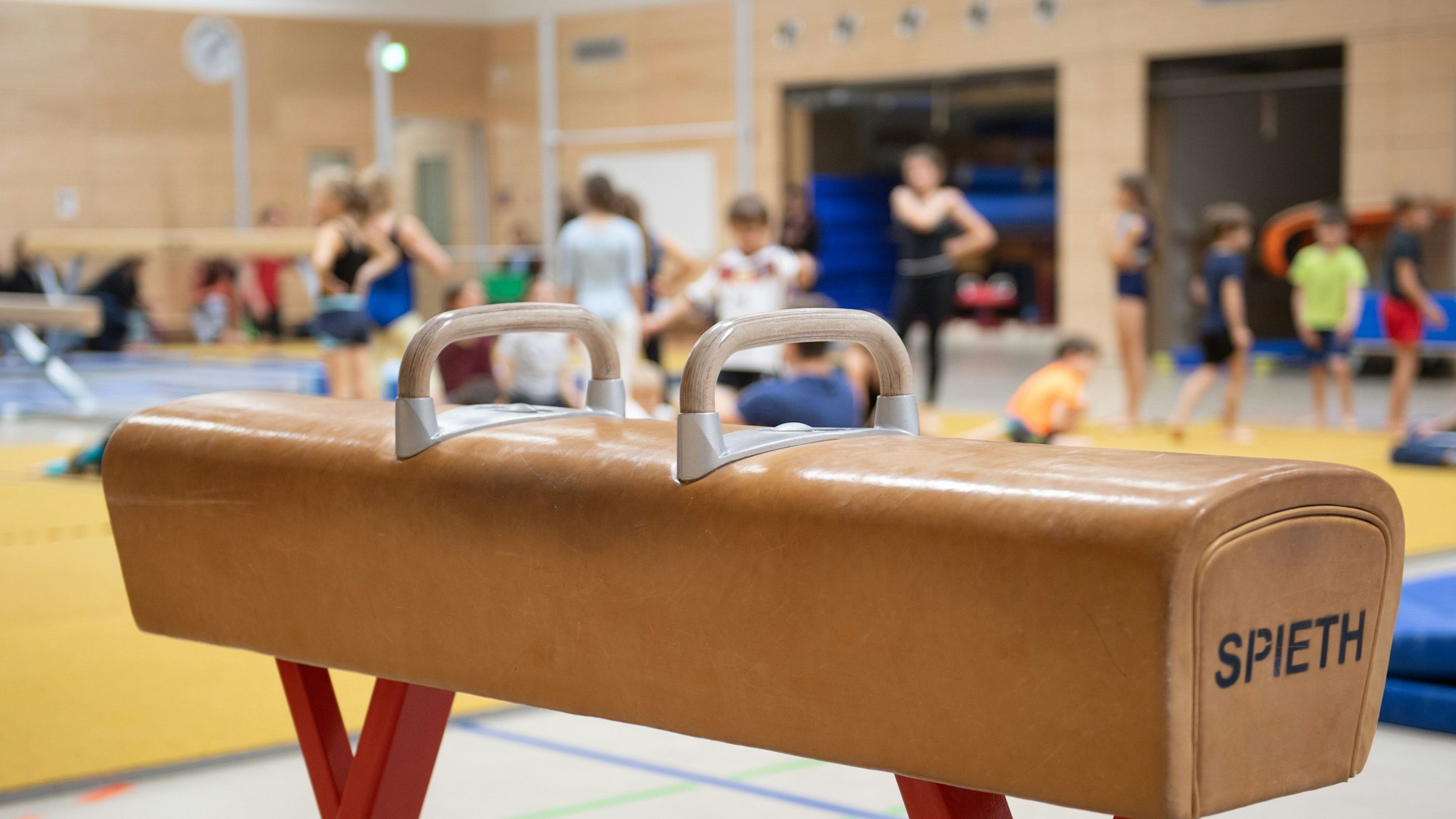 Ein Pauschenpferd steht während des Sportunterrichts in der Sporthalle einer Grundschule.