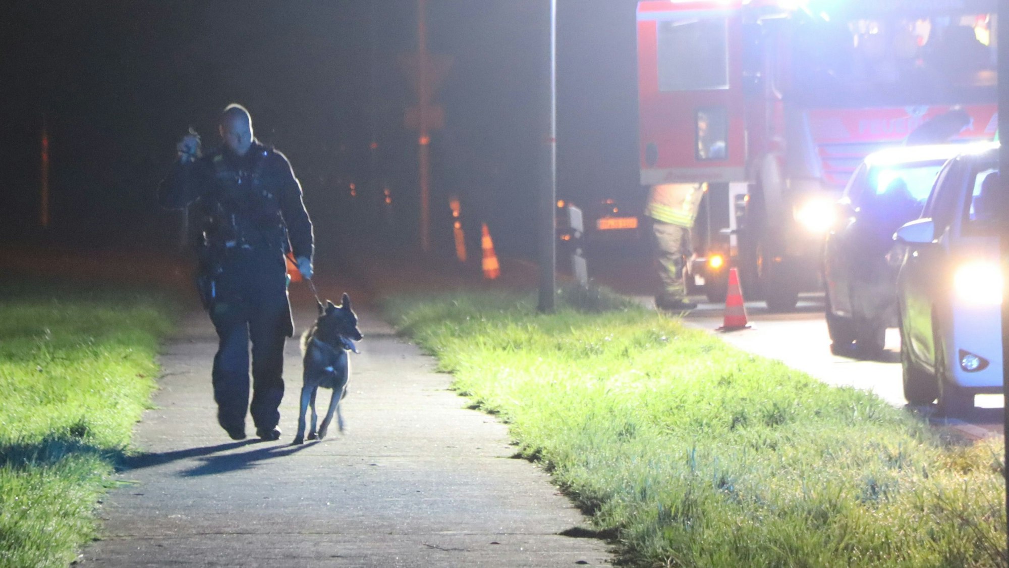 Das Foto zeigt Polizeihund Hank. Ein Polizist führt ihn an der Leine an der Unfallstrecke entlang, um Spuren zu sichern.