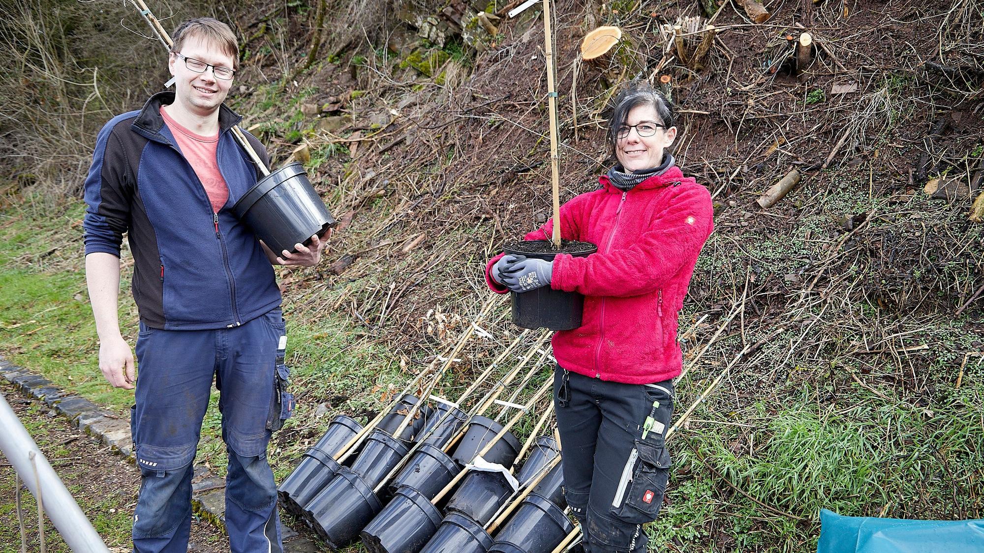 Als Ersatz für die vom Borkenkäfer getöteten Fichten wollen Carsten Schmitz und Andrea Cloßin Eichen pflanzen.