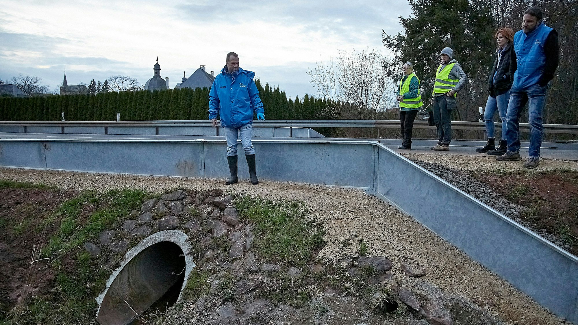 Fünf Menschen stehen an einer Straße und schauen auf eine Leitplanke, die Teil der neuen Krötenleitanlage ist.