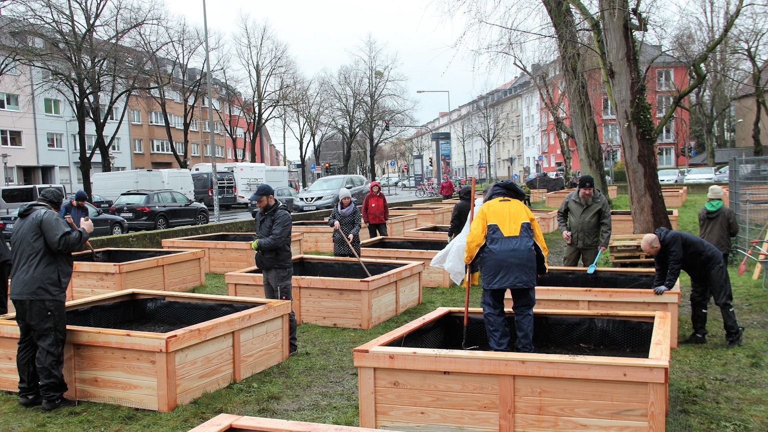 Menschen bauen an Hochbeeten auf einer Wiese.