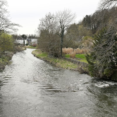 Die Sülz bei Hoffnungsthal, also oberhalb der Stelle, an der sich der Zwischenfall ereignete.