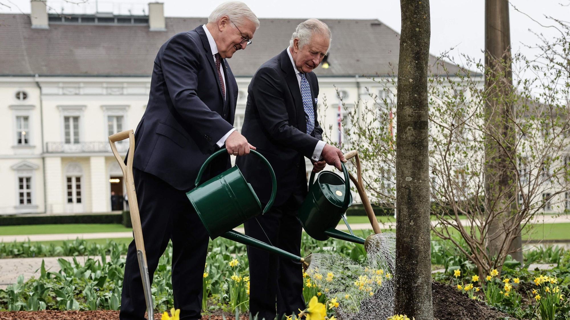 König Charles III (r.) und Bundespräsident Frank-Walter Steinmeier gießen gemeinsam Bäume und Blumen am Schloss Bellevue.AFP