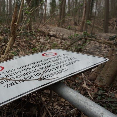Ein Verkehrsschild liegt auf dem Waldboden.