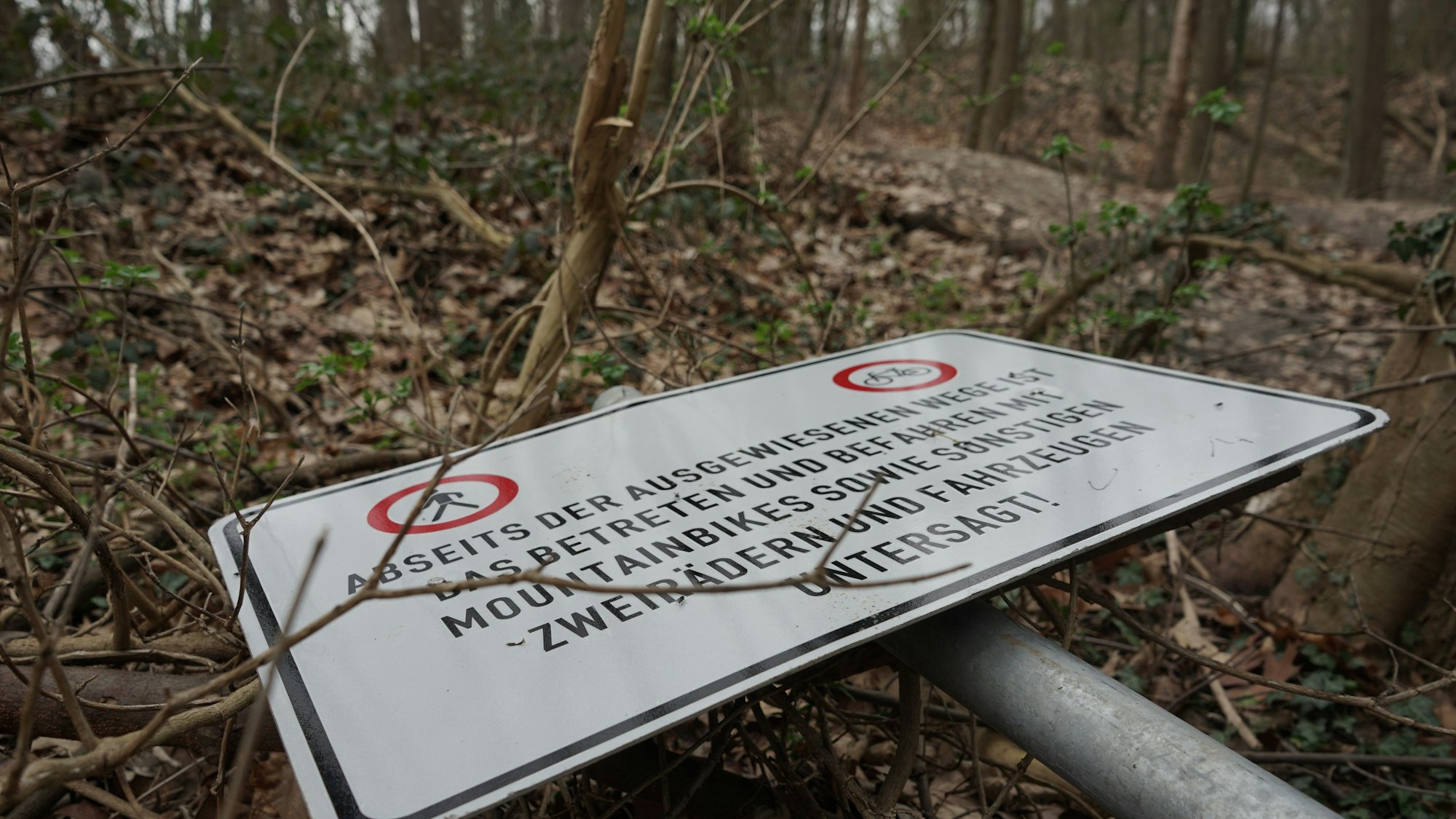 Ein Verkehrsschild liegt auf dem Waldboden.