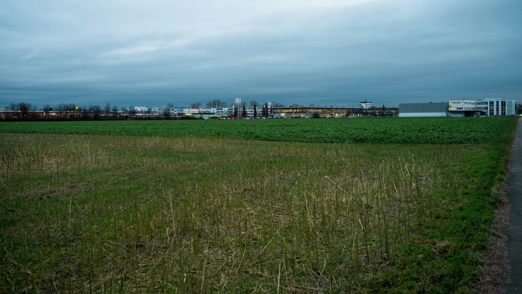 Die mögliche Fläche für den Großmarkt und die FC-Erweiterung.