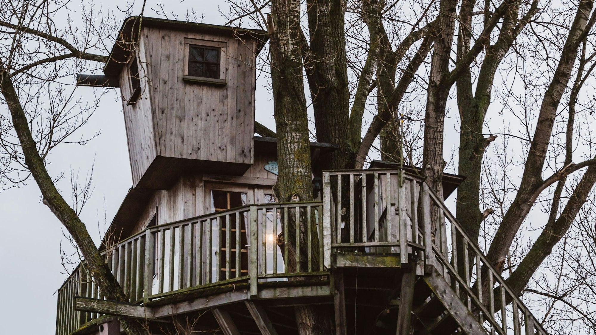 Baumhaus nahe Venlo