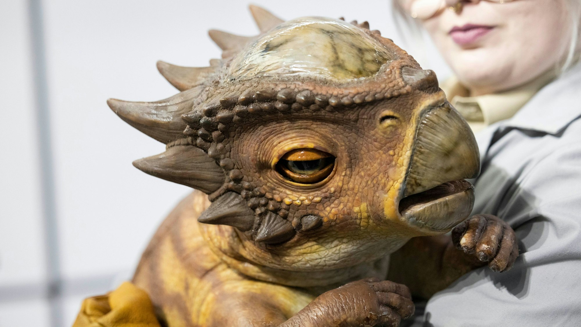 Die Nachbildung eines Stygimoloch sitzt bei einer Parkwärterin auf dem Arm.