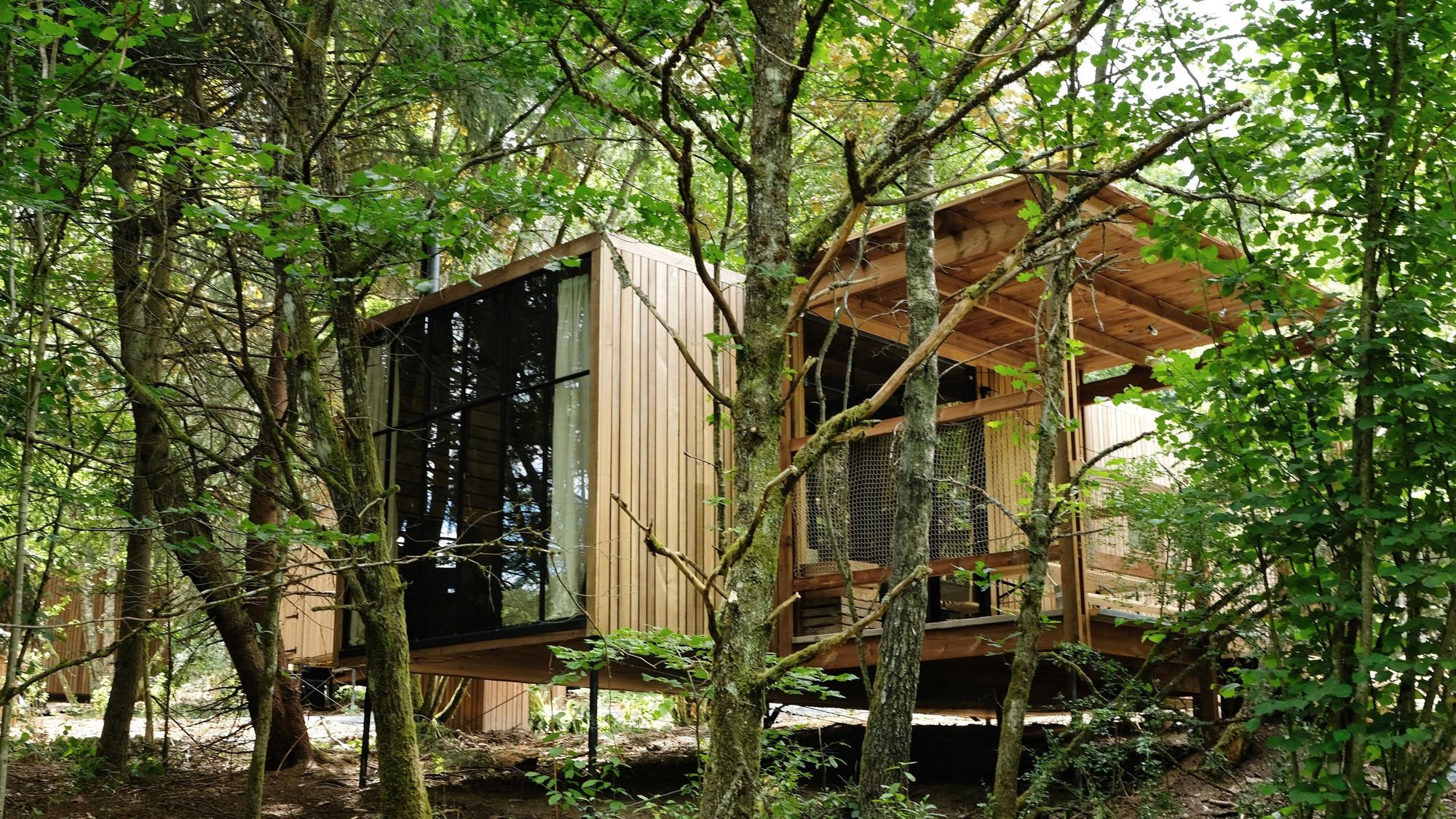 Nutchel Cabin im Sommer