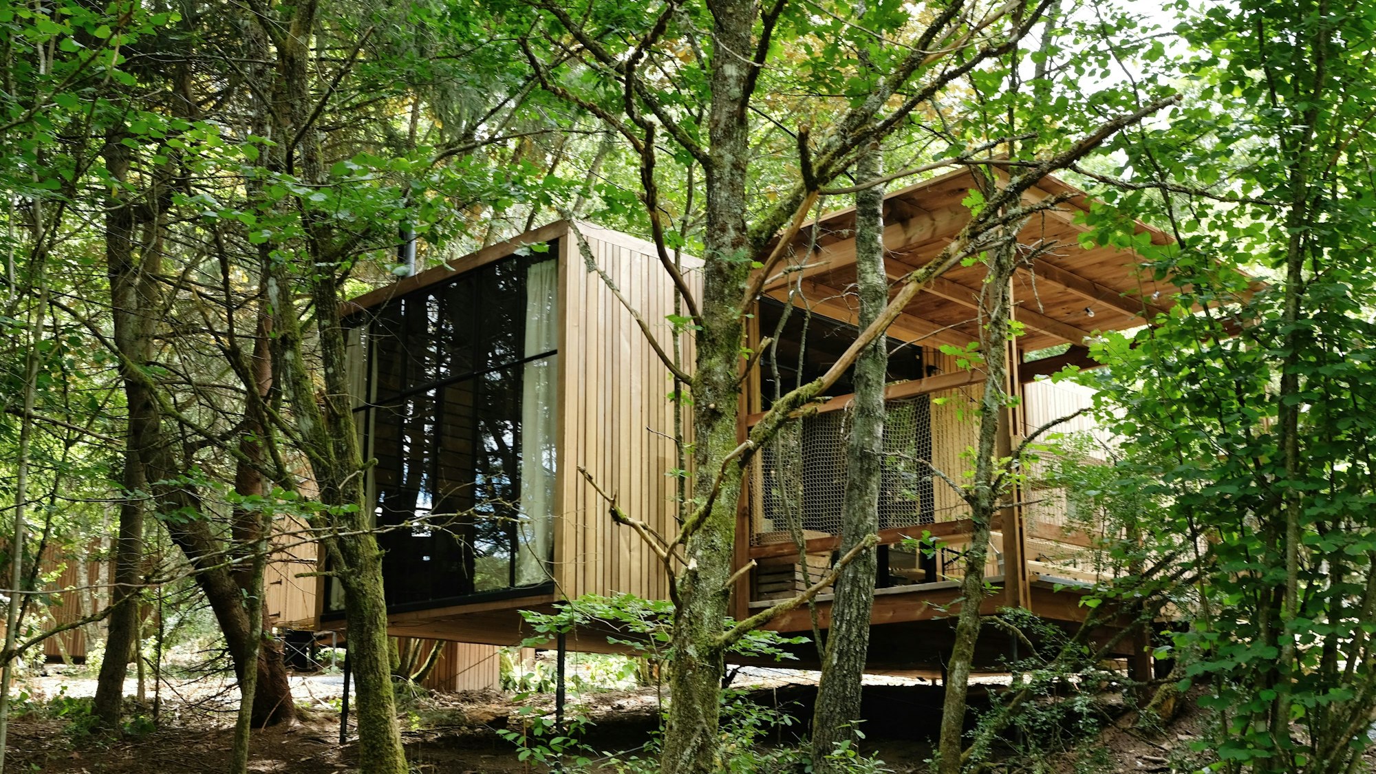 Nutchel Cabin im Sommer