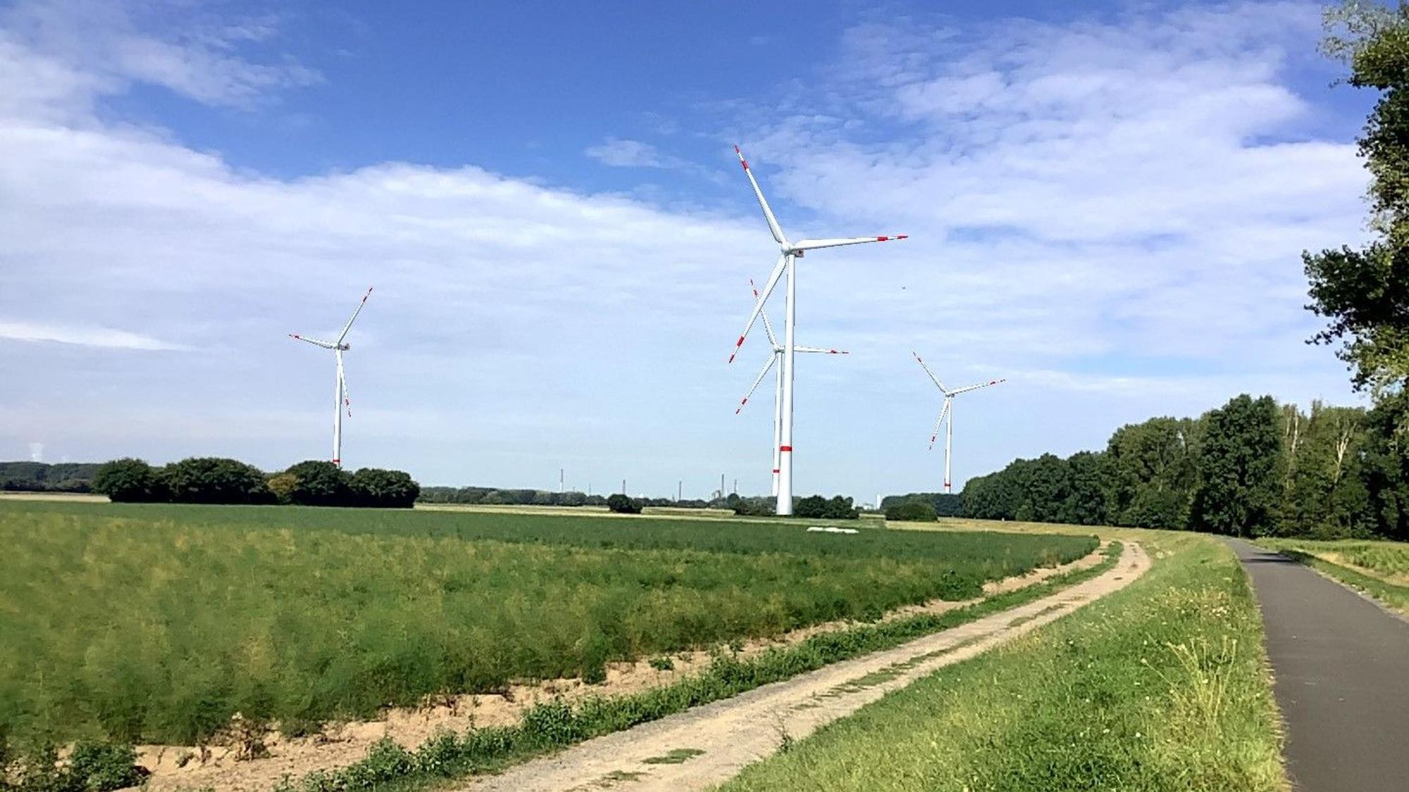 Windräder stehen an der Straße.